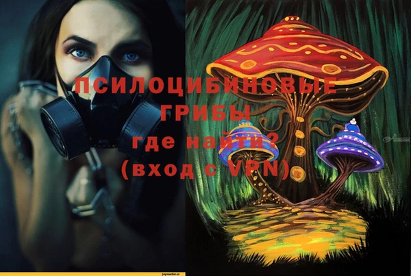 каннабис Богданович