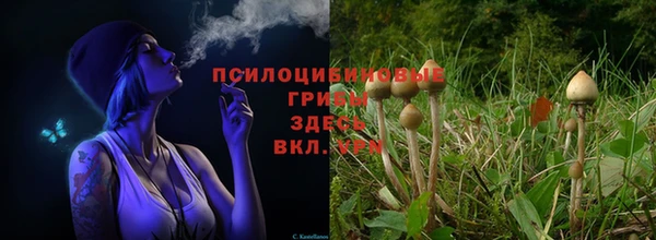 амфетамин Бородино