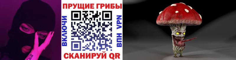 Псилоцибиновые грибы Psilocybe  Новороссийск 